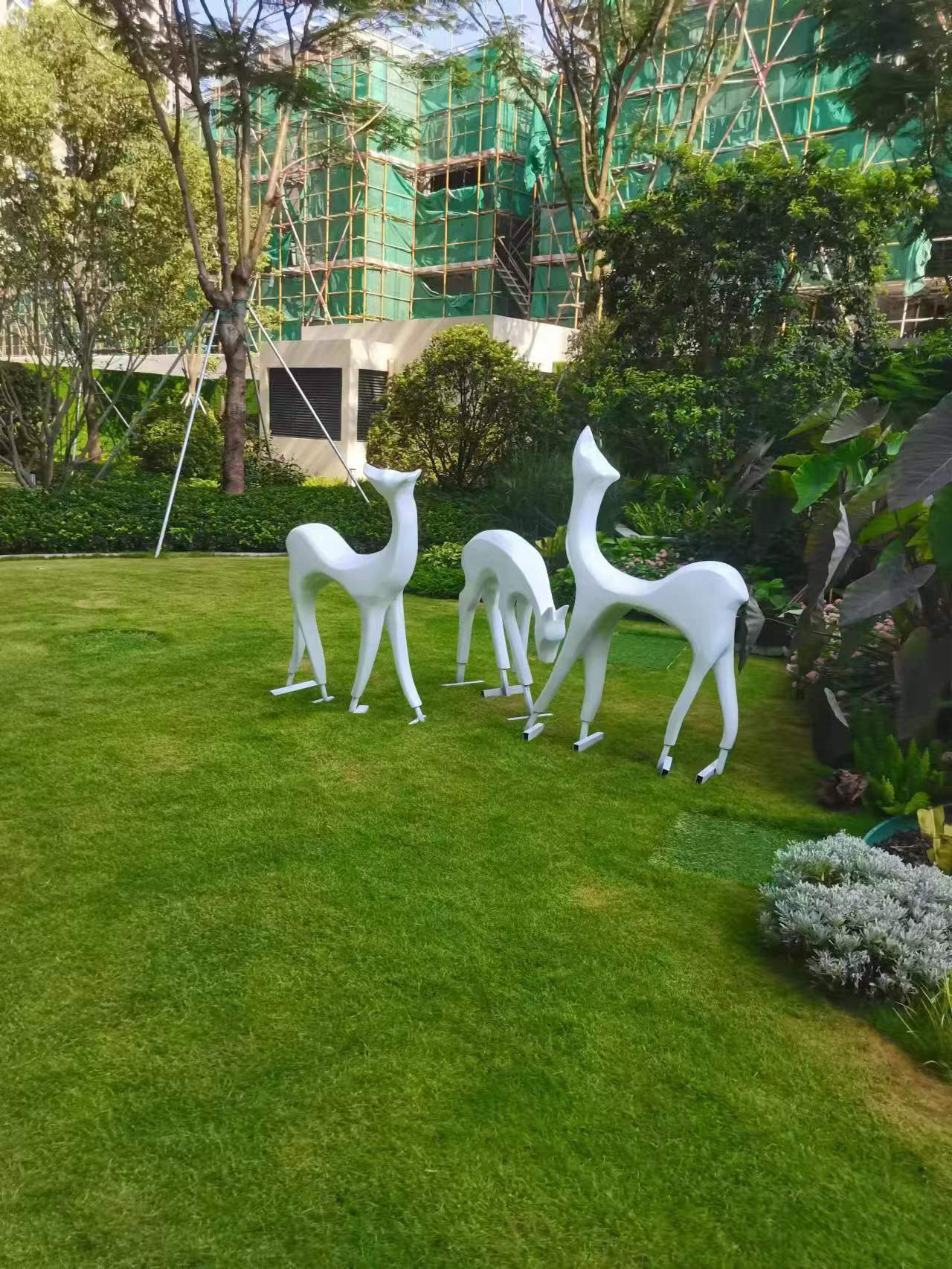 小鹿(2)